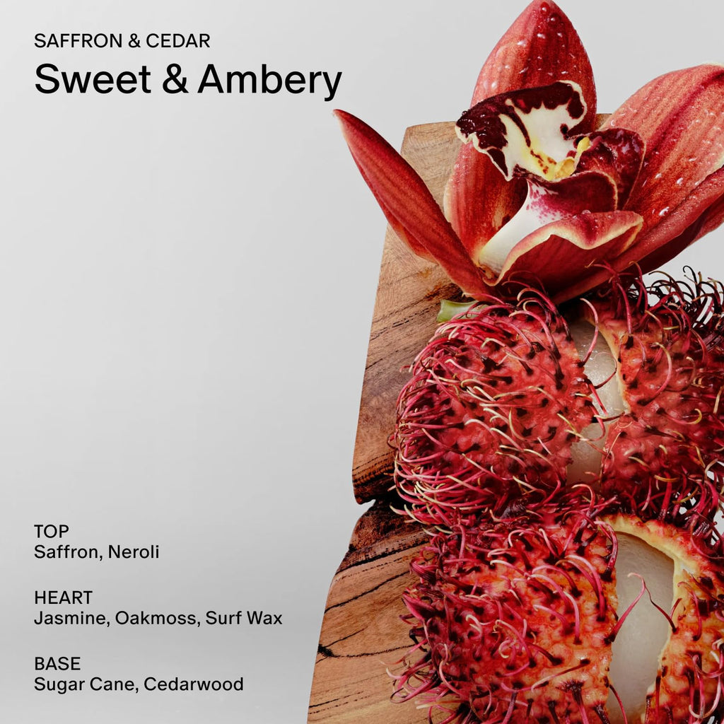 Salt & Stone Aluminum Free Deodorant | Extra Strength 48 Hour Protection for Women & Men | Made with Seaweed Extracts, Niacinamide & Prebiotics | Santal & Vetiver
